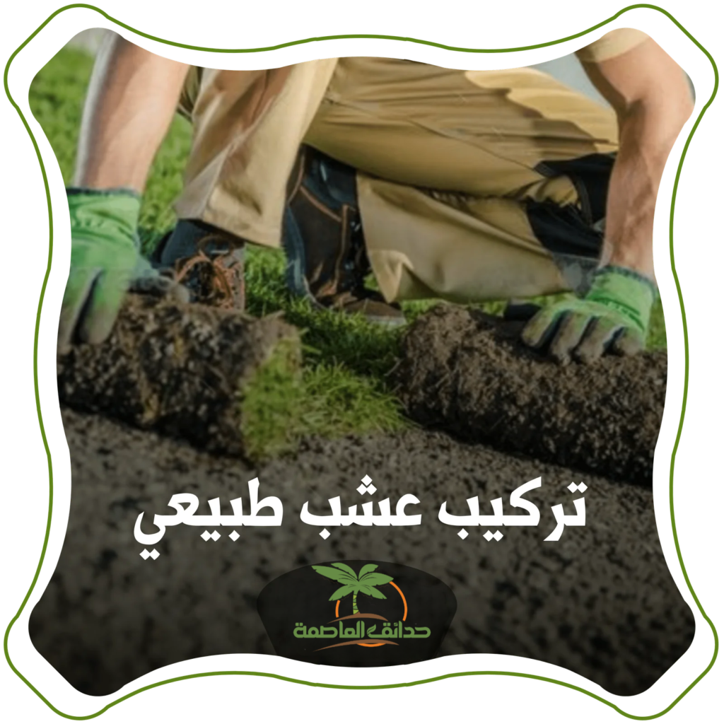 تركيب عشب طبيعي